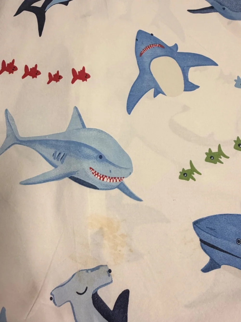Pottery Barn Kids Shark Bite Queen Duvet Cover + 2 Pillow Cases